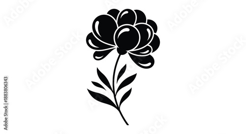 a striking black and white floral illustration featuring a single peony bloom rendered as an elegant silhouette