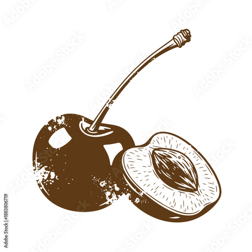 Drawing Vintage grunge  texture Brown sepia illustration of a whole cherry with stem and a halved cherry showing the pit  fruit with artistic vintage grunge effect