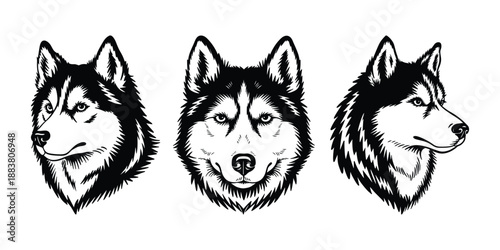 Husky Dog Head Illustration Set, Siberian Husky Face Front and Side View