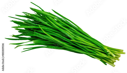 Fresh, vibrant green chives isolated against a stark, black background. Food and herb focus