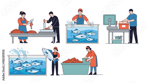 Workers in a seafood factory processing fish on a production line including cutting, weighing, and sorting tasks in a professional way.