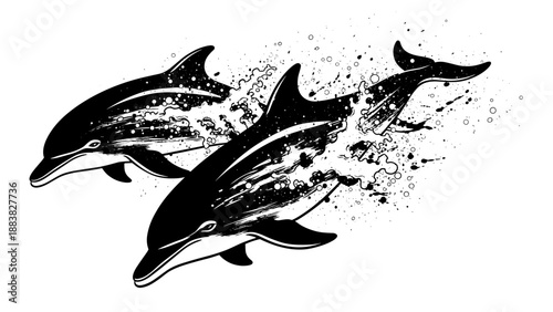 Dynamic ink art dolphin depiction showing two powerful dolphins with splashes. Black ink artwork features aquatic mammal movement on crisp white paper, creating striking ocean imagery.