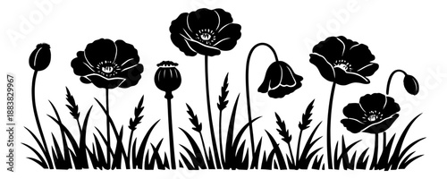 Black silhouette poppy set featuring buds, blooming flowers, and seed pods with grass for floral design projects