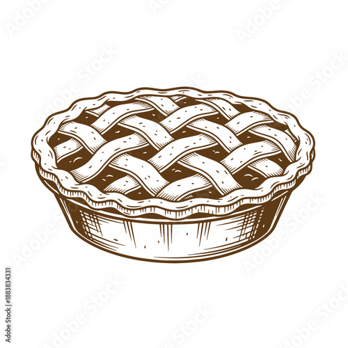 Drawing Vintage grunge  texture A brown and white illustration of a whole pie with a woven crust on a plain white background