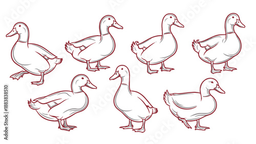 Seven red line drawn ducks in various poses