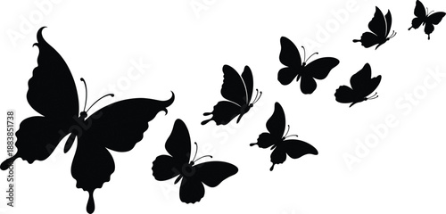 Butterfly silhouette illustration collection, flying butterflies shapes, elegant nature insect design, decorative wildlife vector art, isolated white background