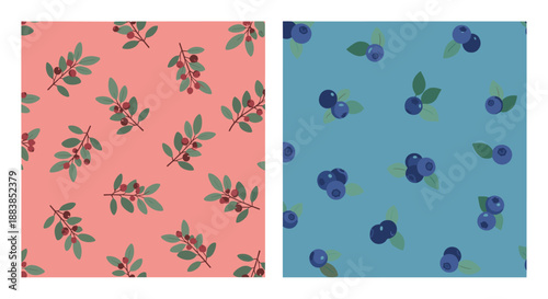 Set of two seamless berry patterns with one featuring red dogwood berries and the other showing fresh blueberries.