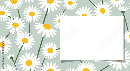 Beautiful floral background of white and yellow daisy flowers on a sage green field with a blank white note card.