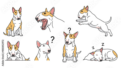 Character studies of a Bull Terrier dog showing various poses and expressions including sitting, sleeping, yawning, and playing.