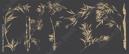 Bamboo of leaves elements in Chinese painting vector. Hand drawn natural with brushstroke in Traditional style.
