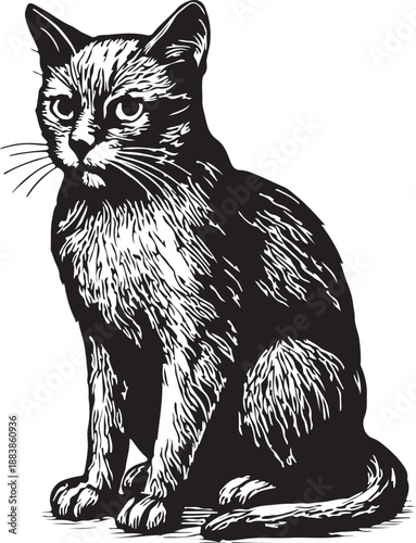 Cat vintage engraving black and white vector illustration