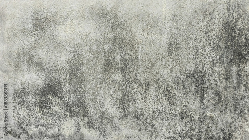 Konstfotografi Weathered Concrete Wall with Black Mold Texture