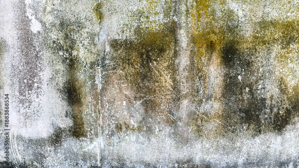 Obraz premium Weathered and Moldy Concrete Wall Texture