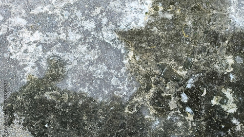 Weathered Concrete Surface with Moss and Mineral Deposits