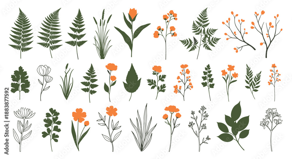 Obraz premium Delicate collection of wildflower, grass, and fern silhouettes in green and orange tones for botanical and wedding designs.