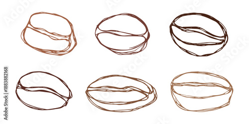 Set of hand drawn fresh roasted coffee bean Arabica robusta seed doodle Single element for design print packaging label decor