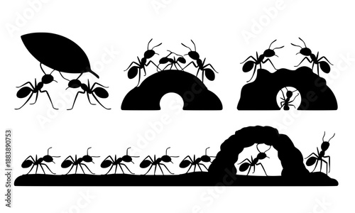 Set of Ant Colony Silhouettes, Hardworking Ants Carrying Leaf and Food, Insects Working Together on Anthill, Nature and Teamwork Concept, Pests and Colony Life Vector Graphic Isolated on White