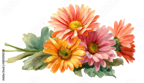 Watercolor painting of vibrant gerbera daisies with varying shades of orange and pink