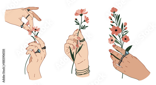 Set of three illustrations showing female hands adorned with rings and bracelets holding delicate pink flowers and branches.