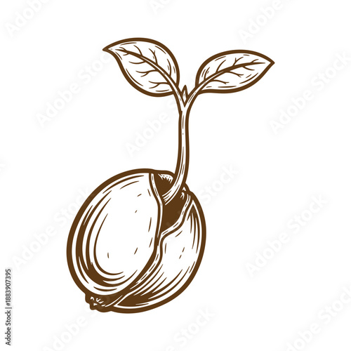 Drawing Vintage grunge  texture Brown seedling with two leaves growing out of a cracked seed  plant growth concept