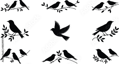 Bird silhouette set vector, songbirds on branches, flying bird icon collection, black nature illustration, wildlife clipart design