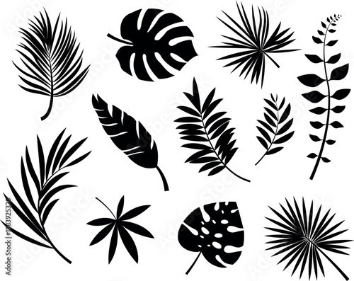 Collection of black silhouette tropical leaves and plant shapes.