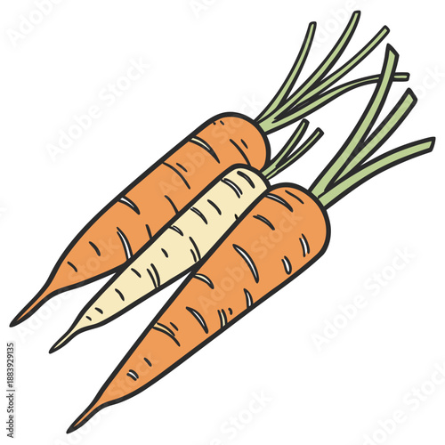 Matchstick Carrots Baby Size Food Ingredient