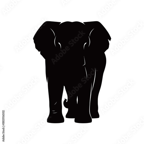 A striking black silhouette of an elephant standing frontally, showcasing its majestic form against a white background.