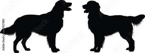 Dog silhouette pair illustration isolated on white background, domestic pet animal side view artwork for logo, design and print
