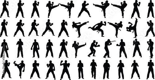 Martial arts fighter silhouette collection isolated on white background, karate and combat poses set for sport, fitness and design