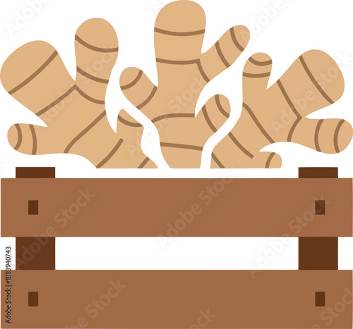 Fresh ginger root in wooden crate vector illustration for organic food and spice market concepts