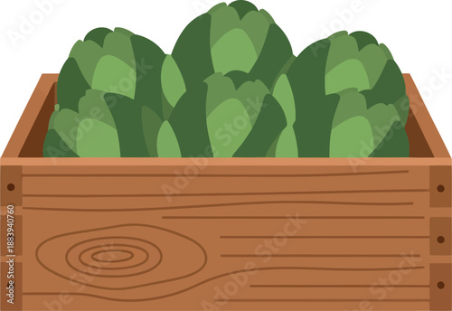 Fresh Green Artichokes in Wooden Crate Vector Illustration for Farmers Market and Organic Food Concepts