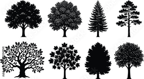 Tree silhouettes collection featuring deciduous and conifer trees isolated on white background, botanical nature illustration set design elements vector pack