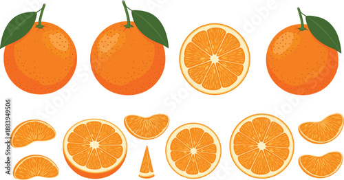 Fresh Orange Fruit And Slices Illustration Set With Whole Citrus And Juicy Segments Isolated