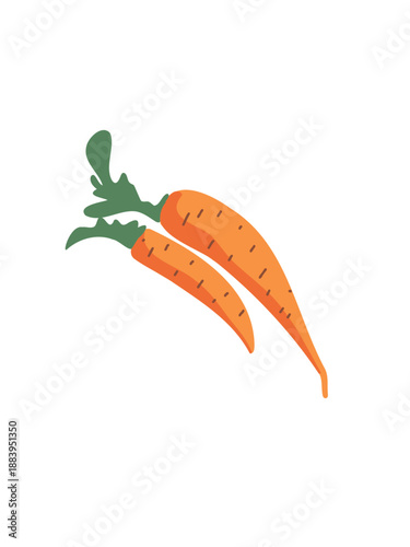 fresh organic carrots for healthy lifestyle