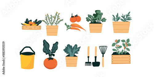 organic farm harvest set with seedlings, tools, and vegetables