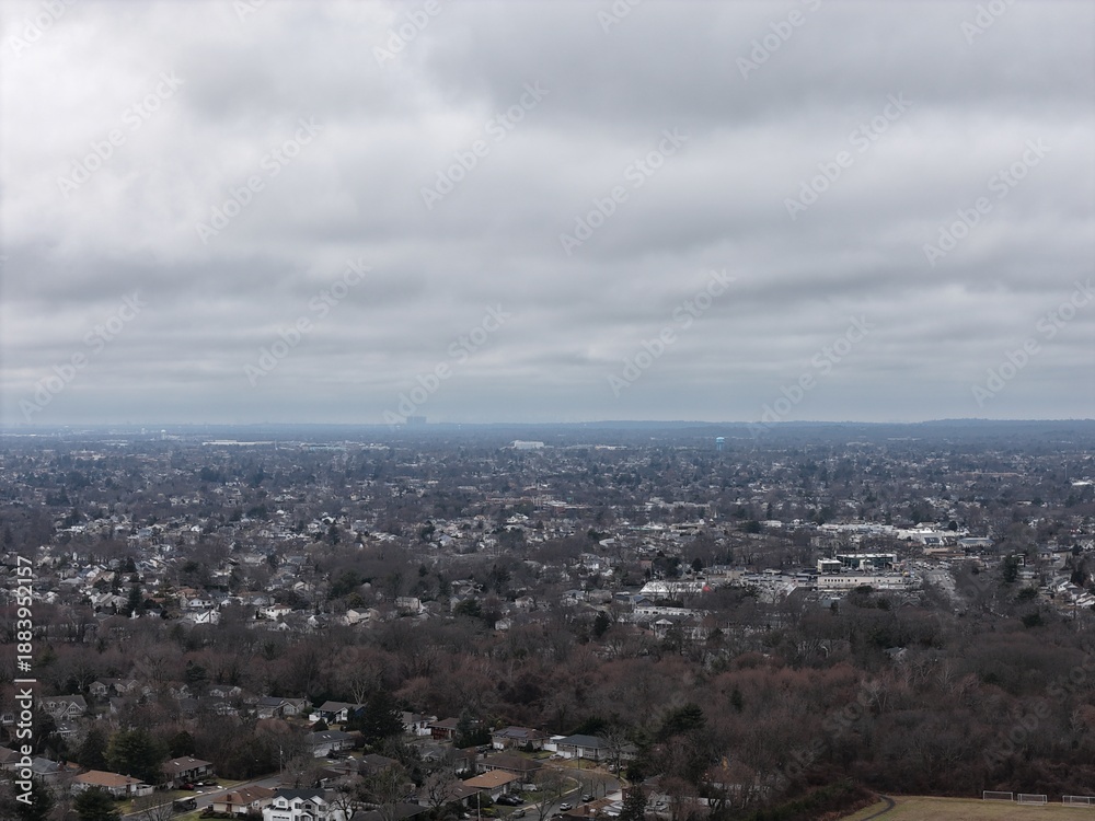 Obraz premium Residential neighborhood with houses and trees stretching to the horizon, showcasing urban development and residential planning under a cloudy, grey sky
