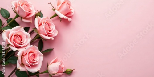 Delicate Pink Roses Arranged on a Soft Background, Perfect for Romantic or Elegant Designs and Projects