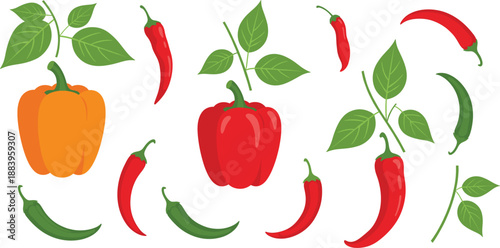 Fresh Chili Pepper And Bell Pepper Vegetable Illustration Set With Leaves Isolated On White Background