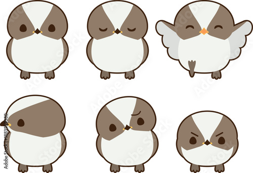 シマエナガの雛　フチ有り