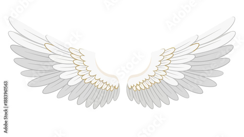 Elegant pair of white angel wings with golden accents