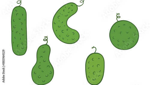 A colorful illustration of various green pickles on a white background