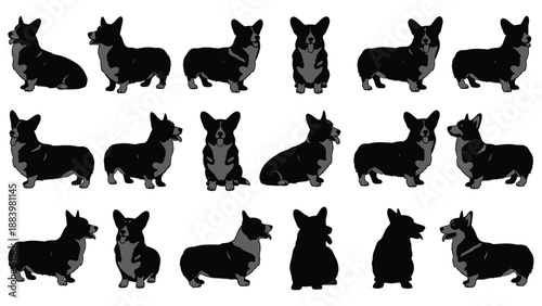 Collection of adorable black and white corgi illustrations showing various poses and silhouettes