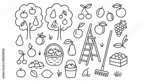 A black and white illustration of various fruits and gardening tools