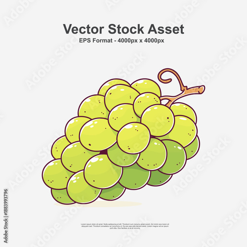 Green Shine Muscat grape with fresh glossy look in hand drawn doodle art style. This fruit illustration is a clean vector design in EPS format, perfect for healthy food and botanical artwork.
