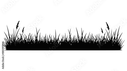 Whisk silhouette, vector graphic for culinary design, representing kitchen tools and baking, on white