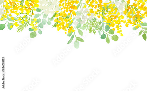 Abstract hand painted watercolor spring floral drop background with yellow mimosa flowers and eucalyptus for banner, web and wedding invitation. Vector file.
