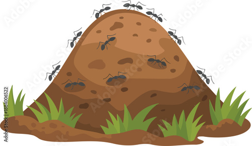 Ant Hill Outline Illustration Set  Crawling Ants, Soil, and Grass Habitat
