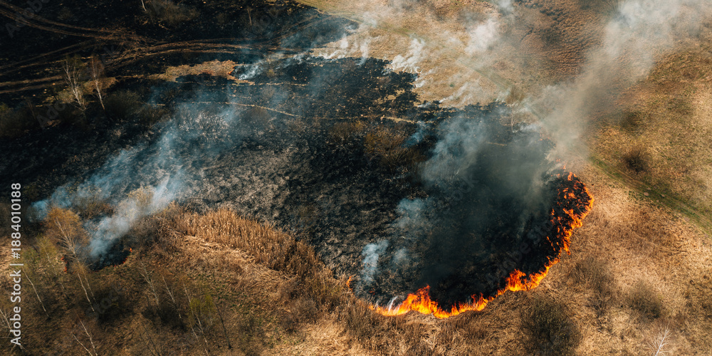 Fototapeta premium Aerial Panoramic View Of Dry Grass Burns During Drought And Hot Weather. Concept Of Save Nature. Bush Fire And Smoke In Meadow Field. Wild Open Fire Destroys Grass. Nature In Danger. Natural Disaster