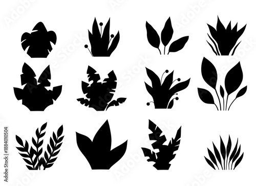 Vector set of black silhouette tropical plants and leaves isolated from background. Nature clip arts collection of print bushes